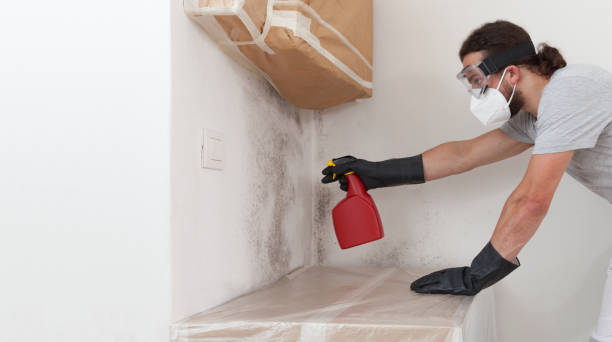 Professional Mold Testing technician working in Centreville, IL