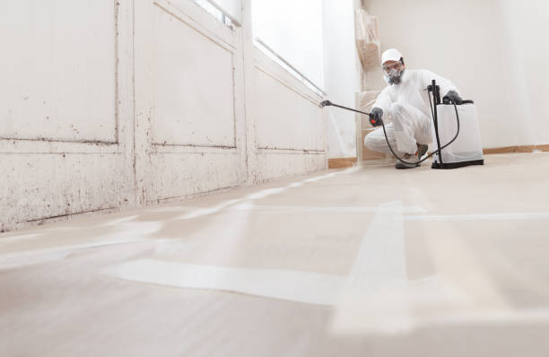 24/7 Emergency Mold Testing experts in Centreville, IL