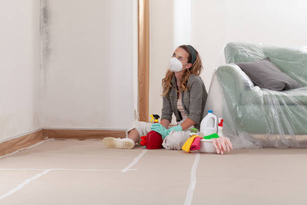 Reliable Mold Testing contractor in Centreville, IL by WQB Mold Removal